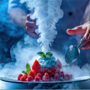 Dress’ICE — Glace carbonique pour dressage